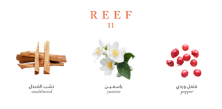 Reef 11 Classic Perfume- Floral Oriental Unisex Fragrance – 100ml EDP