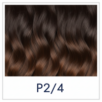 P2\4