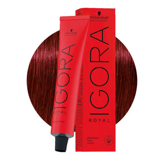 Schwarzkopf Professional IGORA ROYAL 5-88 Extra Red Light Brown Hair Colour 60ml for intense red brown color, gray coverage, and salon results.