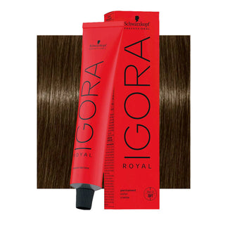 Schwarzkopf Professional IGORA ROYAL 6-16 Cendré Chocolate Dark Blonde Hair Colour 60ml for cool chocolate blonde color, gray coverage, and salon results.