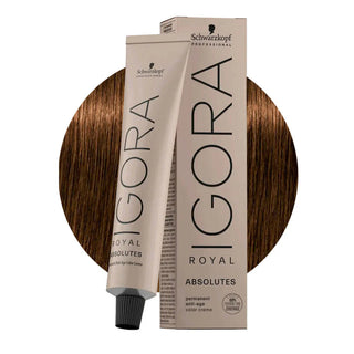 Schwarzkopf Professional IGORA ROYAL 6-50 Natural Dark Golden Blonde Hair Colour 60ml for warm golden blonde color, gray coverage, and salon results.