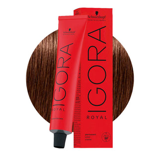 Schwarzkopf Professional IGORA ROYAL 6-68 Dark Chocolate Red Blonde Hair Colour 60ml for warm red chocolate blonde color, gray coverage, and salon results.