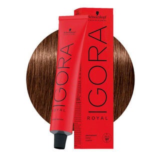 Schwarzkopf Professional IGORA ROYAL 6-6 Chocolate Dark Blonde Hair Colour 60ml for rich chocolate blonde color, gray coverage, and salon results.