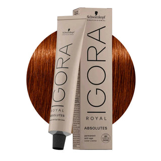 Schwarzkopf Professional IGORA ROYAL 6-70 Dark Natural Copper Blonde Hair Colour 60ml for warm copper blonde color, gray coverage, and salon results.