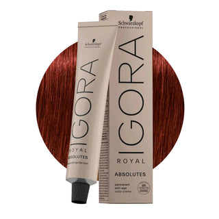 Schwarzkopf Professional IGORA ROYAL 6-80 Natural Red Dark Blonde Hair Colour 60ml for warm red blonde color, gray coverage, and salon results.