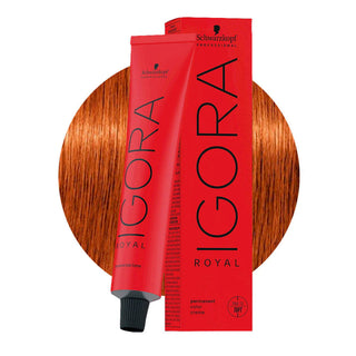 Schwarzkopf Professional IGORA ROYAL 7-4 Beige Medium Blonde Hair Colour 60ml for soft beige blonde color, gray coverage, and salon results.