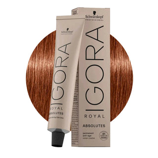 Schwarzkopf Professional IGORA ROYAL 7-560 Medium Golden Chocolate Natural Blonde Hair Colour 60ml for warm golden chocolate blonde color, gray coverage, and salon results.