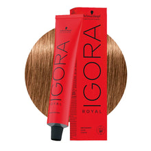 Schwarzkopf Professional IGORA ROYAL 7-77 Extra Copper Medium Blonde Hair Colour 60ml for intense copper blonde color, gray coverage, and salon results.