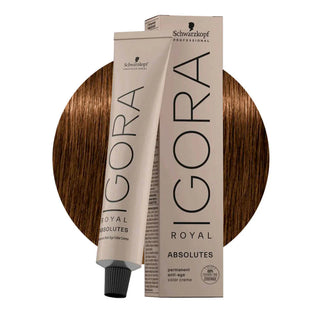 Schwarzkopf Professional IGORA ROYAL  8-60 Biondo Chiaro Cioccolato Naturale Hair Colour 60ml for soft chocolate blonde color, gray coverage, and salon results.