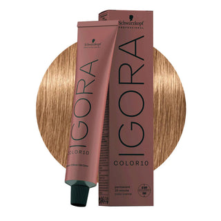 Schwarzkopf Professional IGORA ROYAL 8-65 Golden Chocolate Light Blonde Hair Colour 60ml for warm golden chocolate blonde color, gray coverage, and salon results.