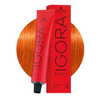 Schwarzkopf Professional IGORA ROYAL 8-77 Extra Copper Light Blonde Hair Colour 60ml for intense copper blonde color, gray coverage, and salon results.