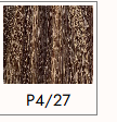 P4\27
