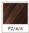 P2\4\6