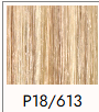 P18\613