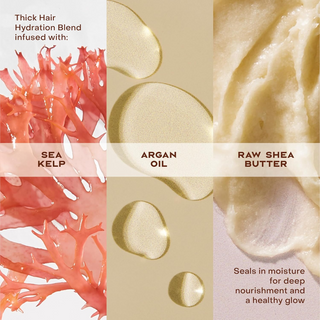 Shea Moisture Raw Shea Butter Deep Moisturizing Conditioner 384ml | Curly & Coily Hair