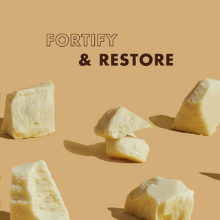 Shea Moisture Raw Shea Butter Restorative Conditioner 13oz | Deep Moisture Care