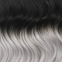 T1B/SILVER