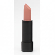 vital pure matte lip colours lipstick long lasting smooth matte finish lip makeup
