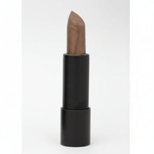 vital pure matte lip colours lipstick long lasting smooth matte finish lip makeup