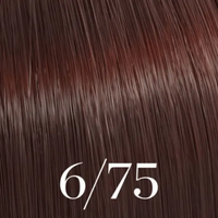 6/75 DARK BRUNETTE MAHOGANY BLONDE