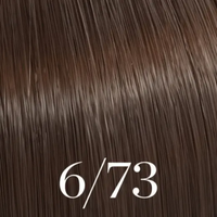 6/73 DARK BRUNETTE GOLD BLONDE