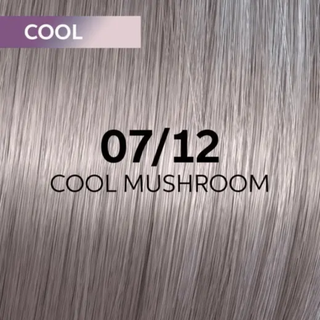 Wella Professionals Shinefinity Zero Lift Glaze glossy translucent hair color treatment