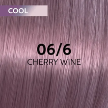 Wella Professionals Shinefinity Zero Lift Glaze glossy translucent hair color treatment