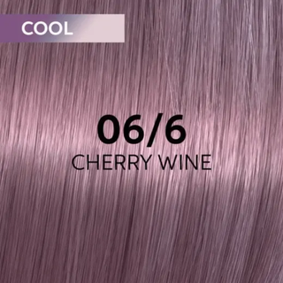 Wella Professionals Shinefinity Zero Lift Glaze glossy translucent hair color treatment