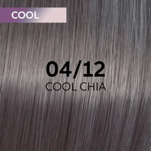 Wella Professionals Shinefinity Zero Lift Glaze glossy translucent hair color treatment
