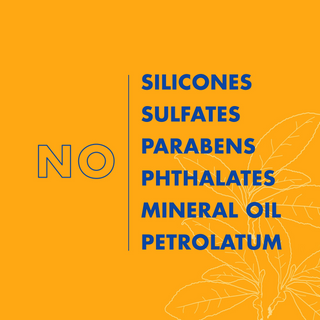 Shea Moisture  Baobab & Tea Tree Oils Low Porosity Weightless Hydrating Shampoo 384ml | Moisture Boost