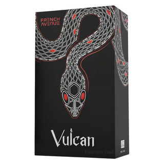 Vulcan Black Friday Perfume By French Avenue 100ml Spicy Leathery Long-Lasting Eau de Parfum for Men