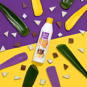 Dark & Lovely Beautiful Beginnings 2-in-1 Easy Shampoo for Kids 250ml