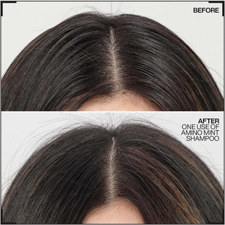 redken amino mint scalp shampoo 300ml clarifying scalp care shampoo with mint helps remove buildup excess oil and impurities while refreshing balancing and cleansing hair and scalp for a healthier feel