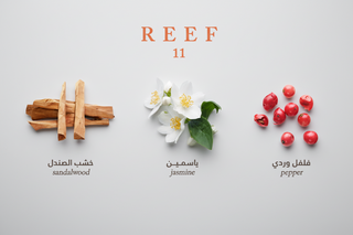 reef 11 classic perfume 100ml edp floral oriental unisex fragrance pink pepper jasmine musk long lasting luxury perfume